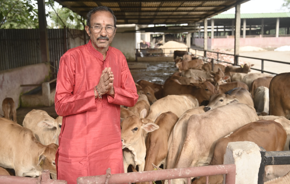 Shri Hanuman Prasad Baheti offering namaste among the cows at Shree Geeta Gaushala