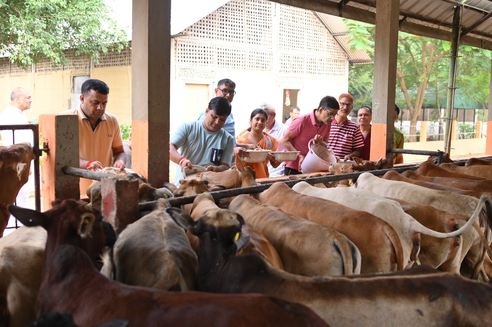 One Meal for All Gau Palak