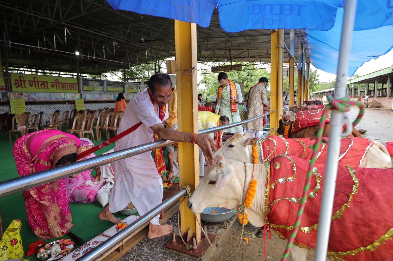 Blessing the Decorated Cows