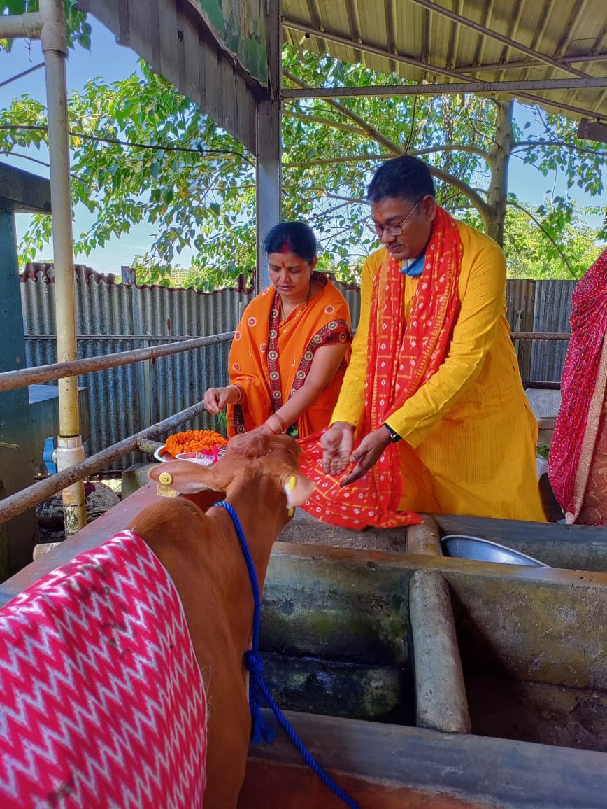 Prayers for a Young Calf