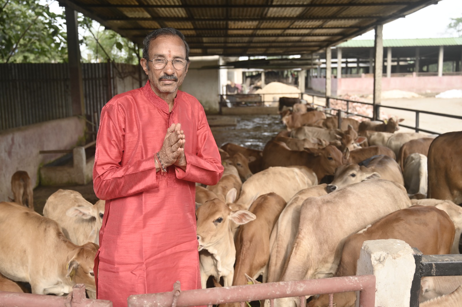 A Warm Welcome Among the Cows